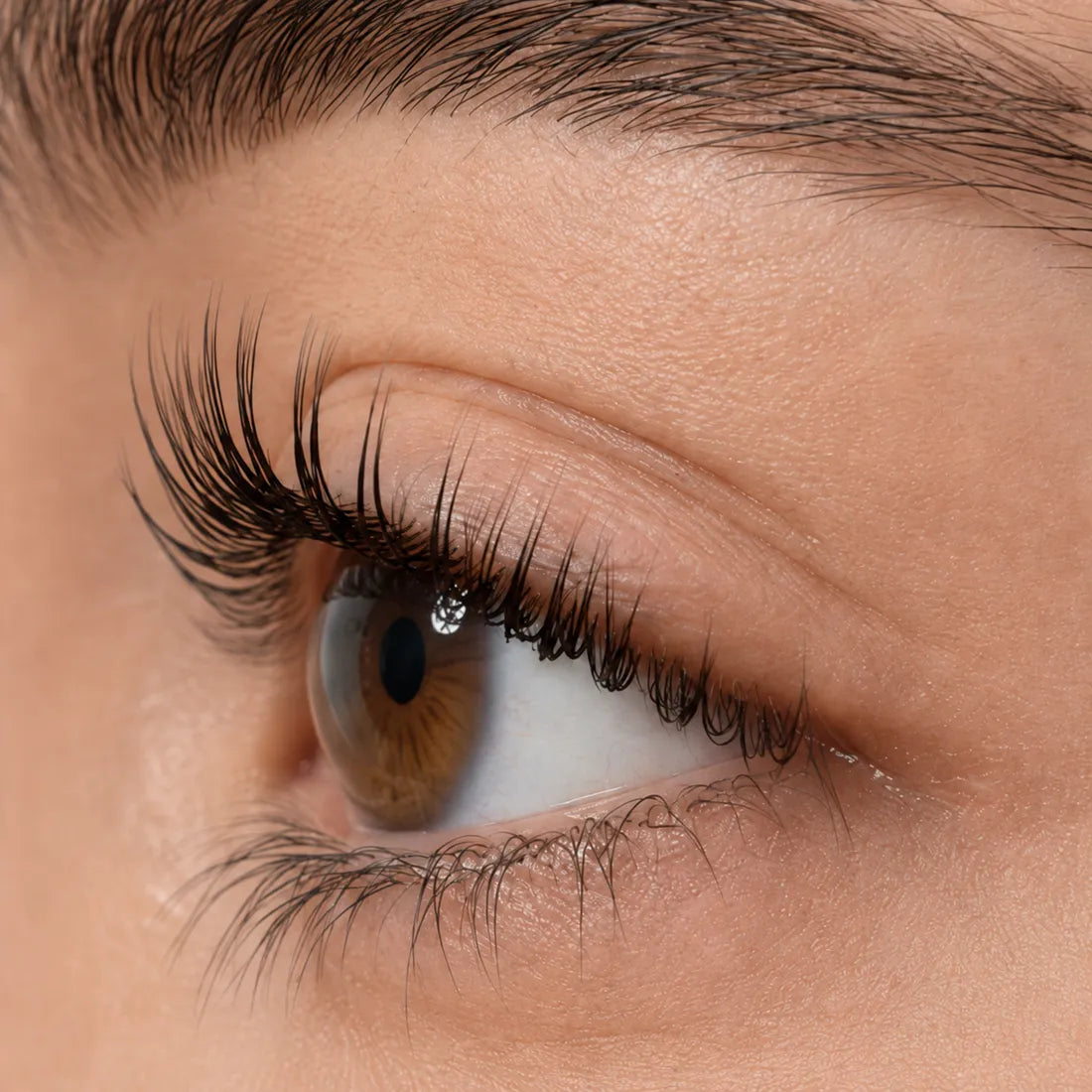 C-shaped curled lash result shown up close