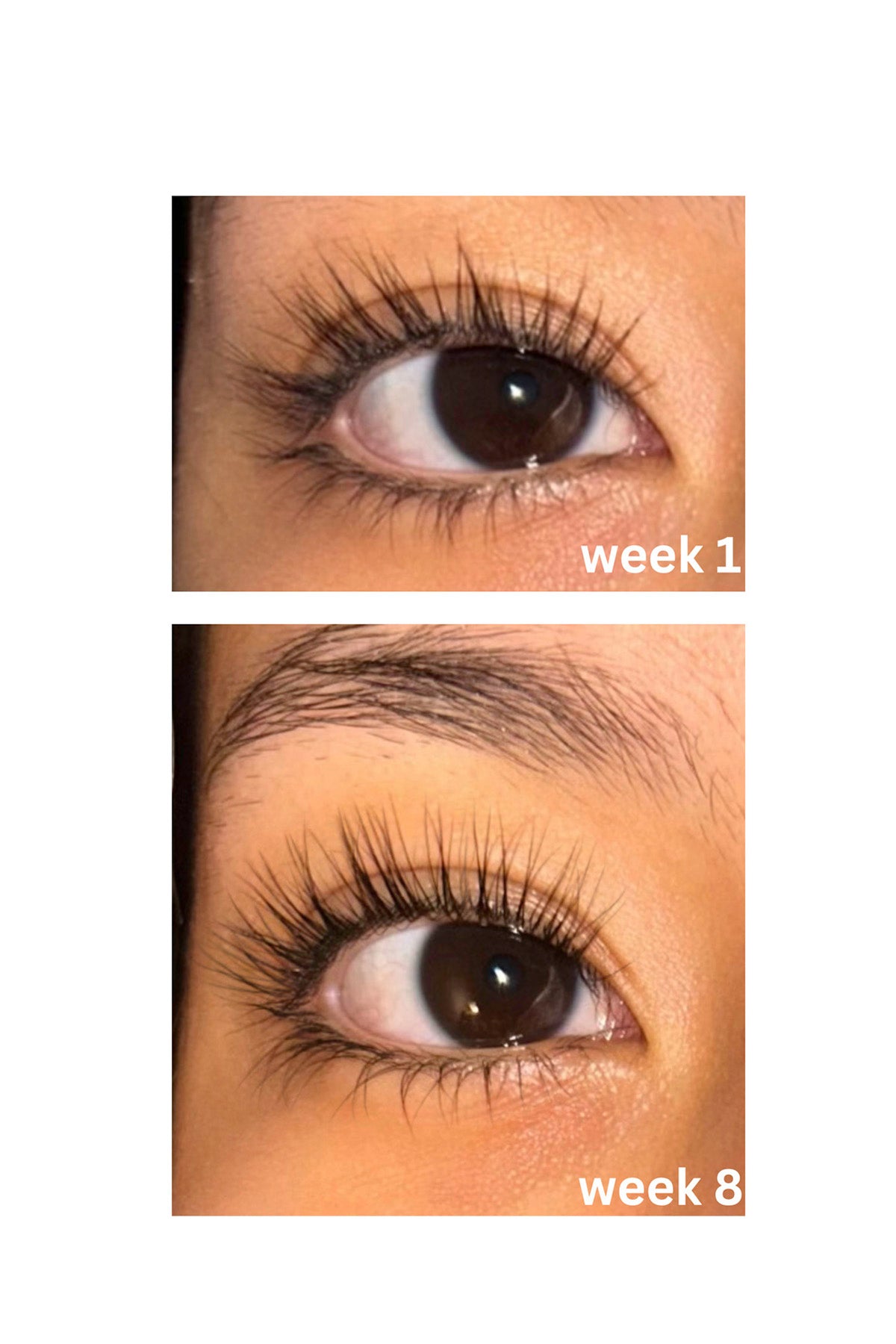 The C Curl + Long Lash Growth Serum