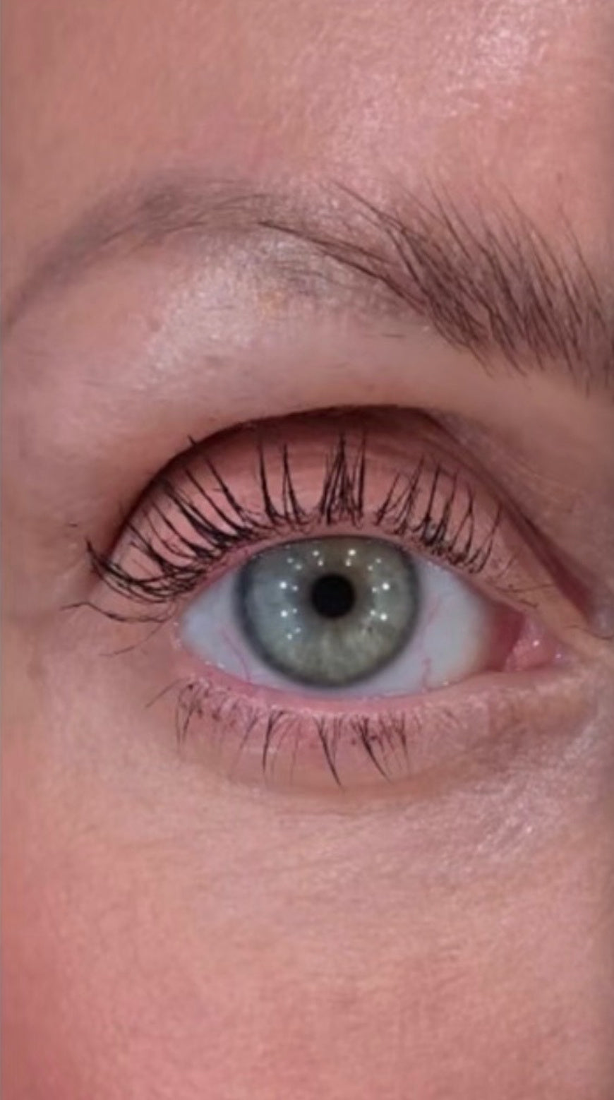 Cindy D.'s eye after eight weeks using Long Lash Growth Serum